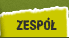  Zesp�